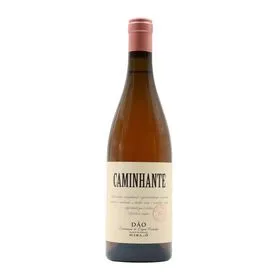 Caminhante Dão Vinho Rosé
