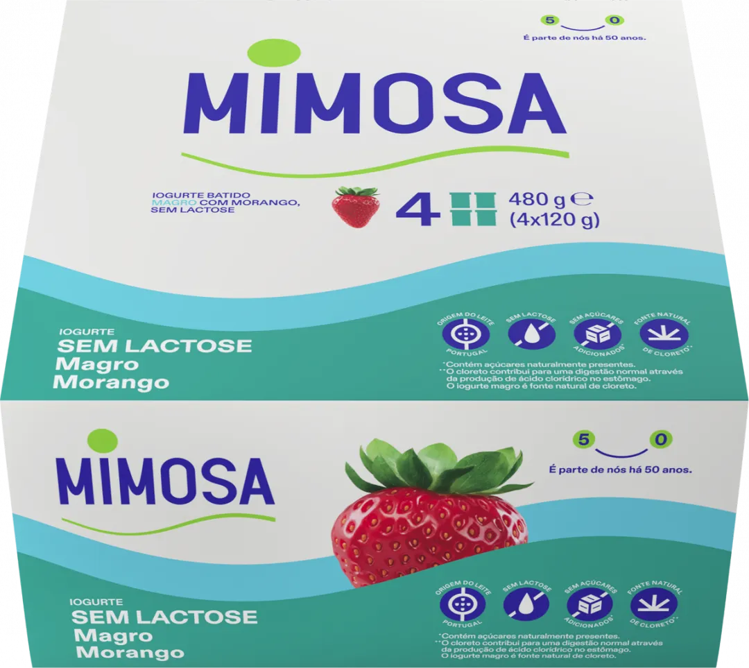 Iogurte Magro sem Lactose Morango Pack 4