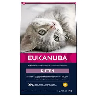 Eukanuba Healthy Start Kitten 10 kg