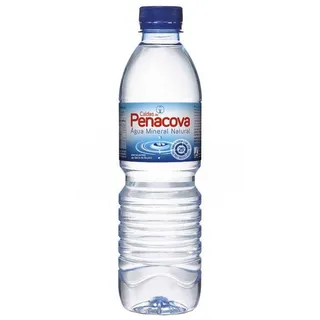 Água sem Gás, garrafa 50 cl Penacova