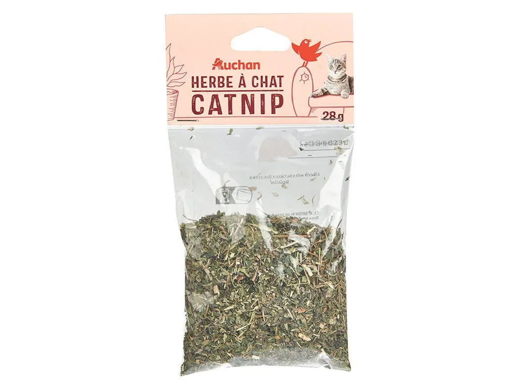 Erva para gato Auchan 28 g