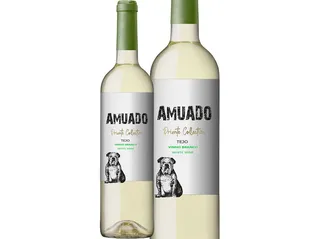 Vinho branco Amuado private collection tejo 0,75 L