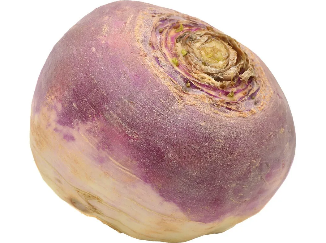 Nabo sem rama kg