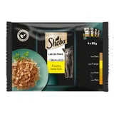 Comida Húmida para Gato Seleção de Aves