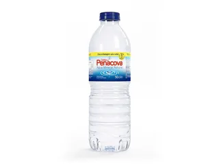 Água Caldas DE Penacova sem gas 0,5 L (sdr)