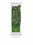 Salsa Fresca