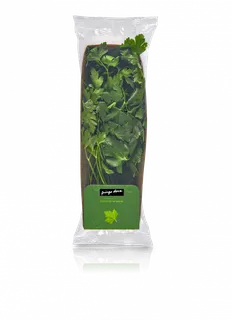 Salsa Fresca Pingo Doce