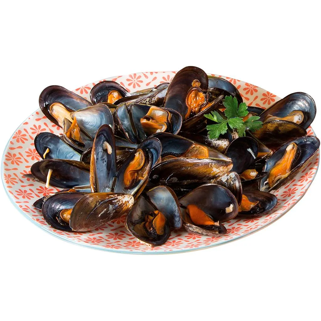 Mexilhão Médio Fresco, 1kg