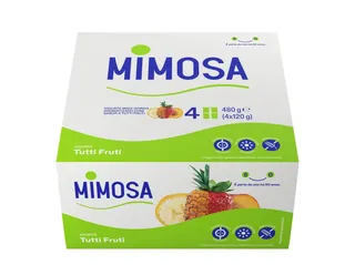 Iogurte Mimosa aroma tutti fruti 4 x 120 g