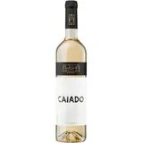 Vinho Branco Regional Alentejano garrafa 00075 cl - Caiado
