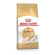 Comida seca para gatos royal canin sphynx adulto carne de porco 2 kg