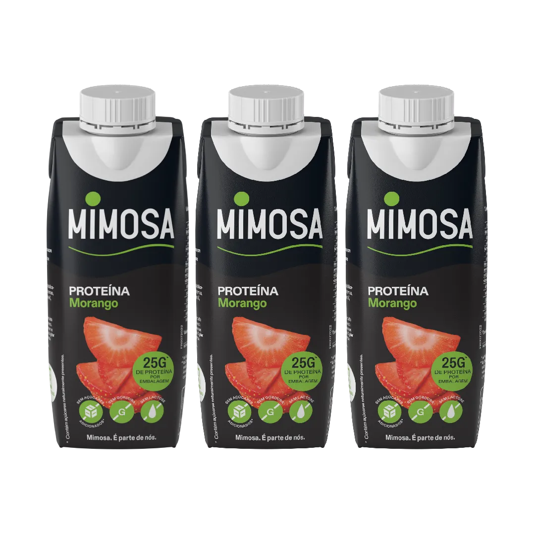 Leite Proteína Morango sem Lactose Pack 3