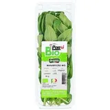Manjericão Bio 30 G