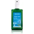 Weleda Sage desodorizante 100 ml