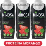 Leite Proteína Morango sem Lactose Pack 3 unidades embalagem 250 ml - Mimosa
