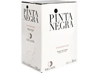 Vinho tinto Pinta Negra lisboa bag in box 5 L