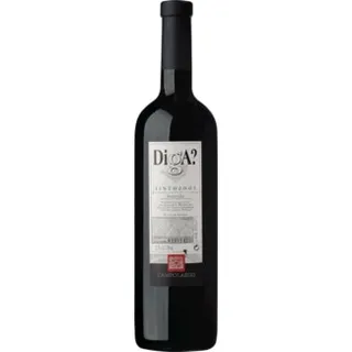 Vinho da Bairrada Tinto garrafa 75 cl - Diga?