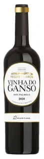 Vinho Tinto Península de Setúbal Ganso Pegos Claros Vinha Do Ganso