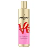 Champô Repara e Protege Love Pantene