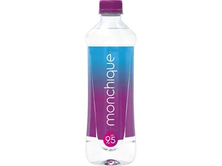 Água mineral natural Monchique 0,51 L (sdr)
