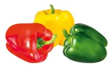 Pimento Tricolor 500 g