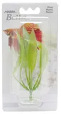 Planta 10 cm Amazon Sword