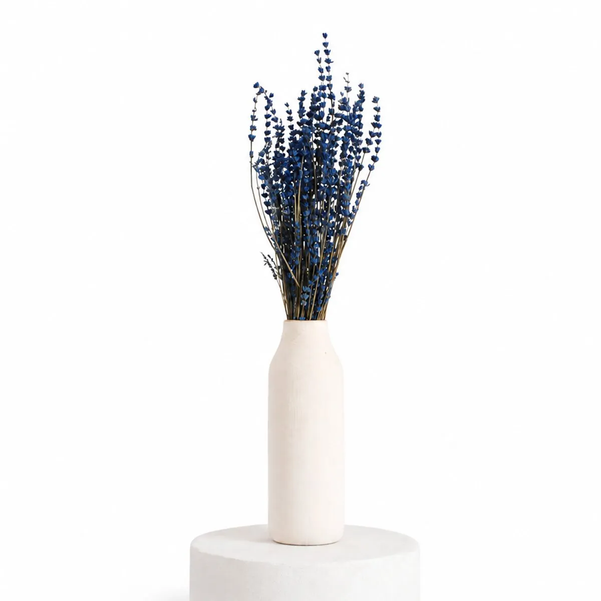 Lavanda