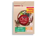 Ração para cão Purina ONE mini active 2,2 kg+800 g