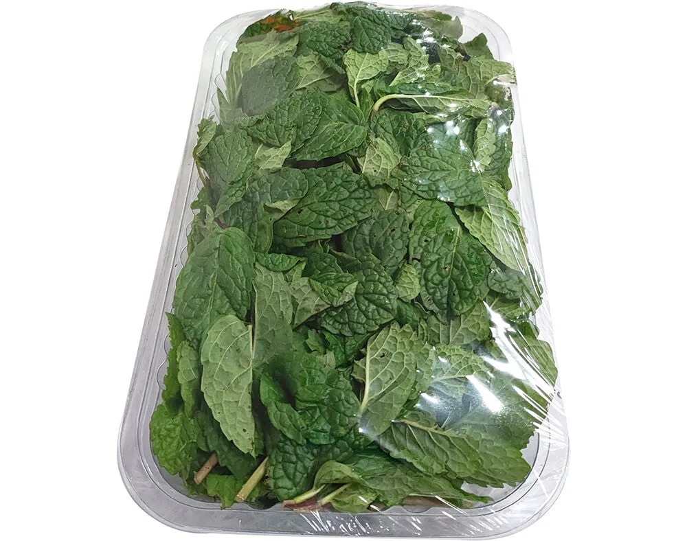 Hortelã fresca 100 g