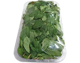 Hortelã fresca 100 g