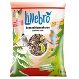 Lillebro sementes de girassol